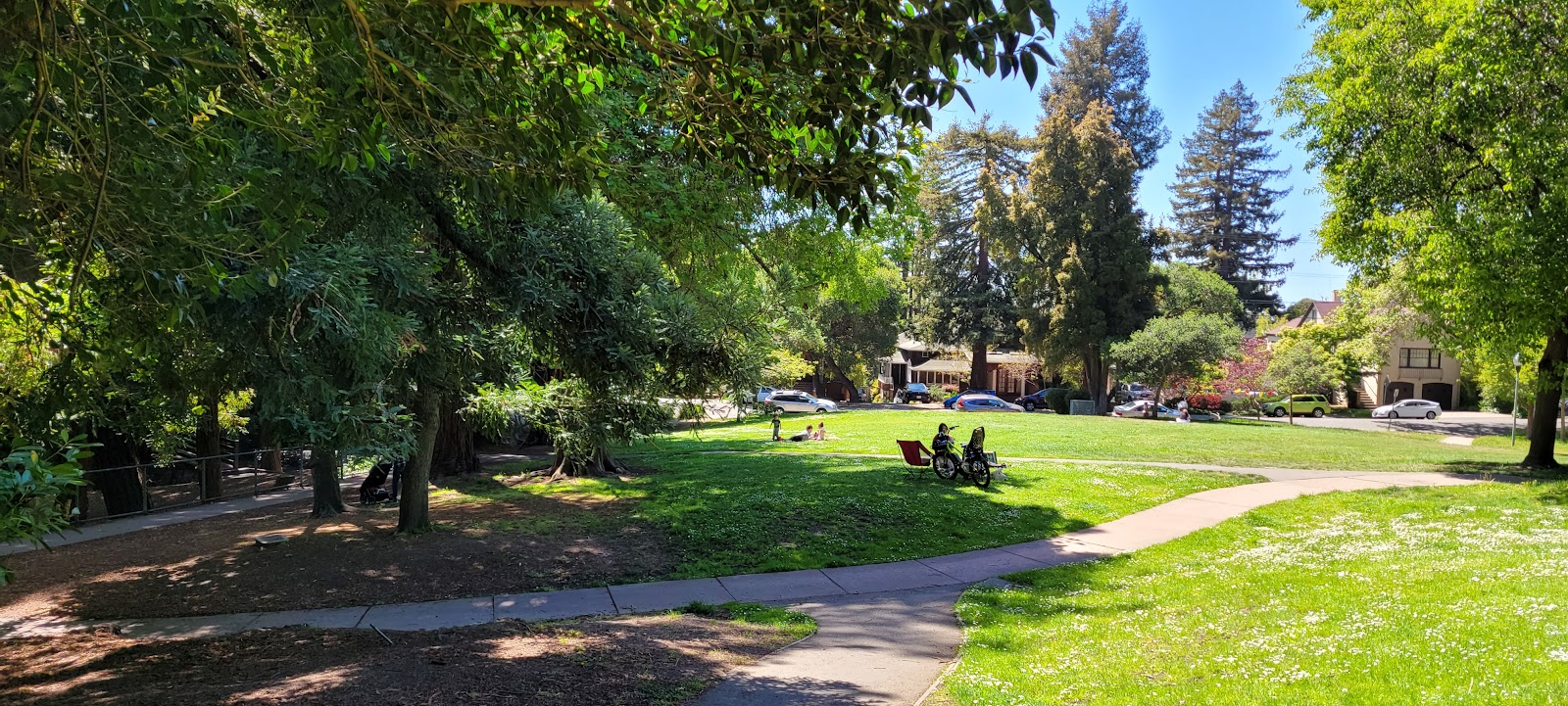 Solano Avenue Berkeley (2026) – Best of TikTok, Instagram & Reddit Travel  Guide