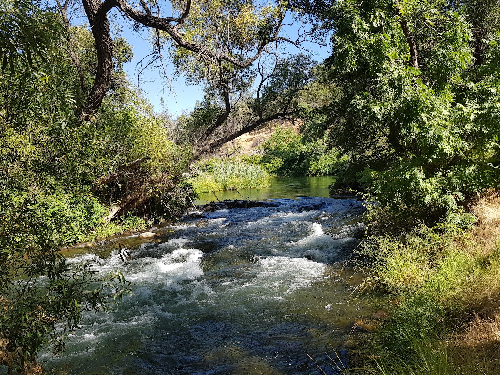 Lake Solano Park (2026) – Best of TikTok, Instagram & Reddit Travel Guide