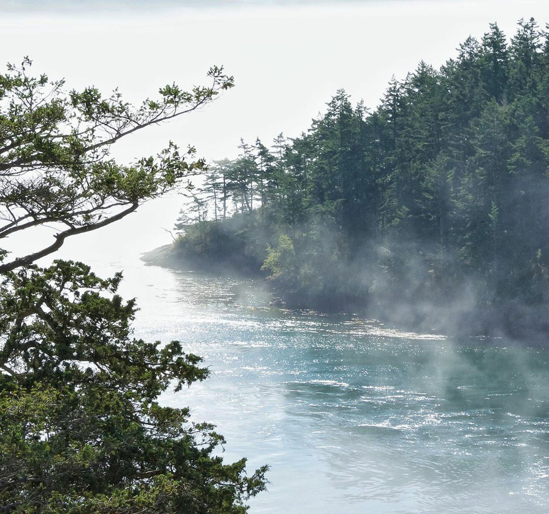 Pointsmith Wa Point Washington (2026) – Best of TikTok, Instagram & Reddit Travel Guide