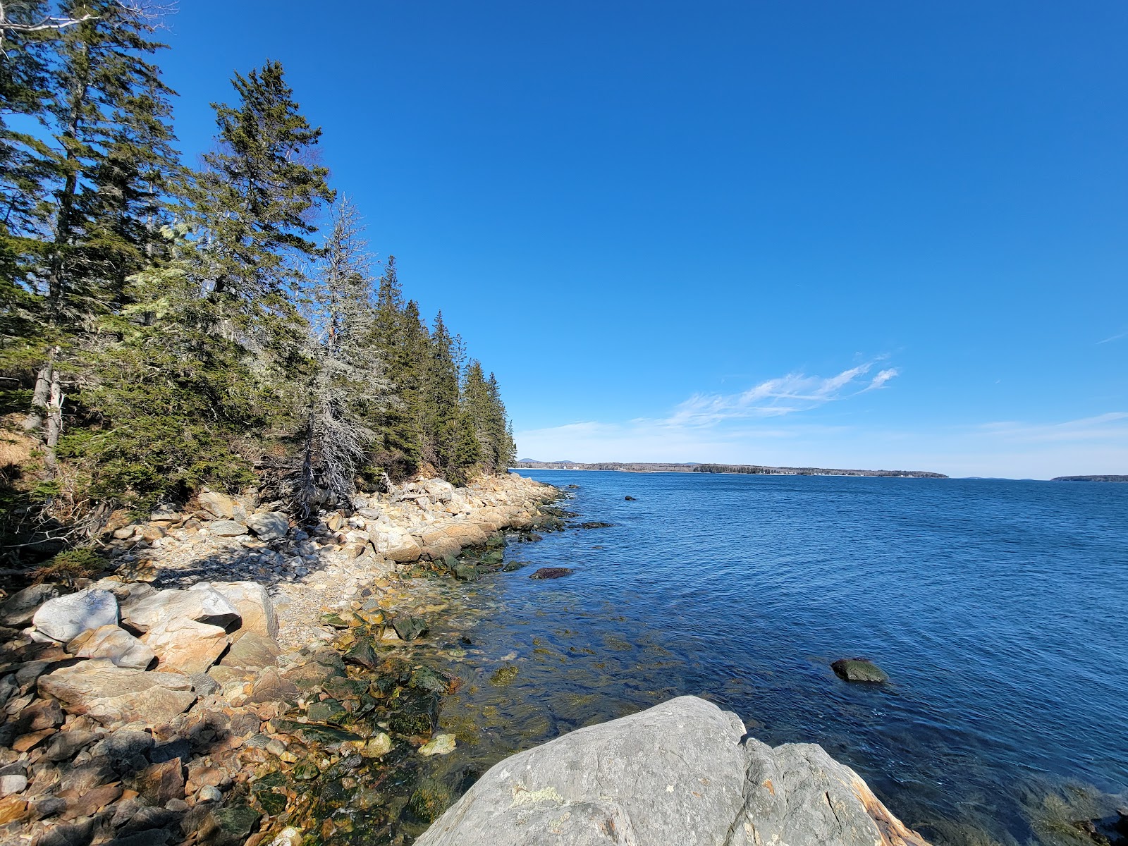 Ash Point Preserve (2026) – Best of TikTok, Instagram & Reddit Travel Guide