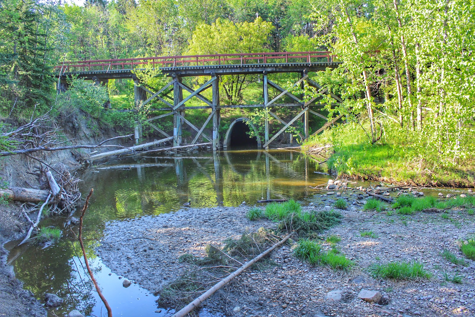 Mill Creek Ravine Park (2026) – Best of TikTok, Instagram & Reddit