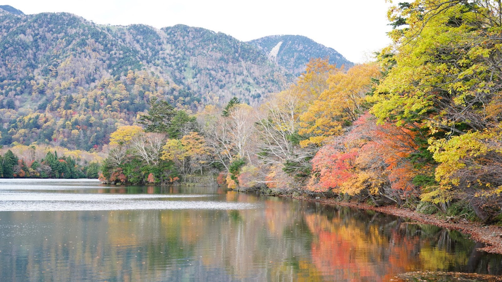 Lake Yunoko Nikko (2025) – Best of TikTok, Instagram & Reddit