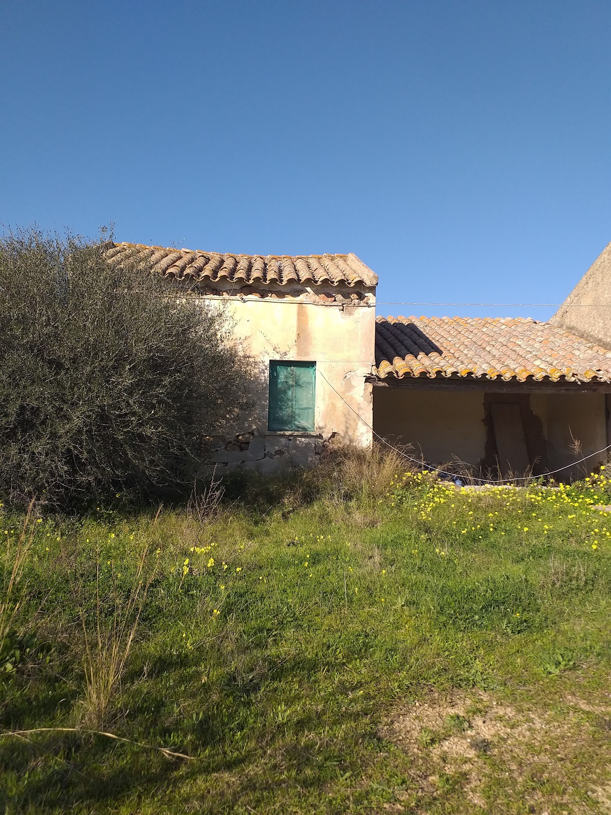 Chia (2026) – Best of TikTok, Instagram & Reddit Travel Guide