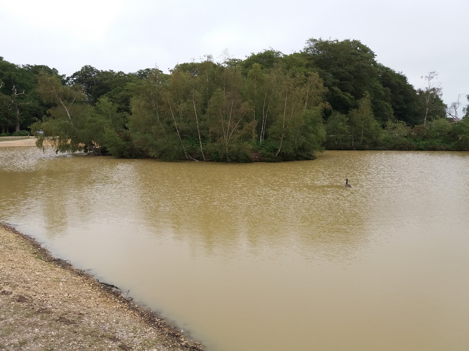 Codman Pool Cadman's Pool (2026) – Best of TikTok, Instagram & Reddit Travel Guide