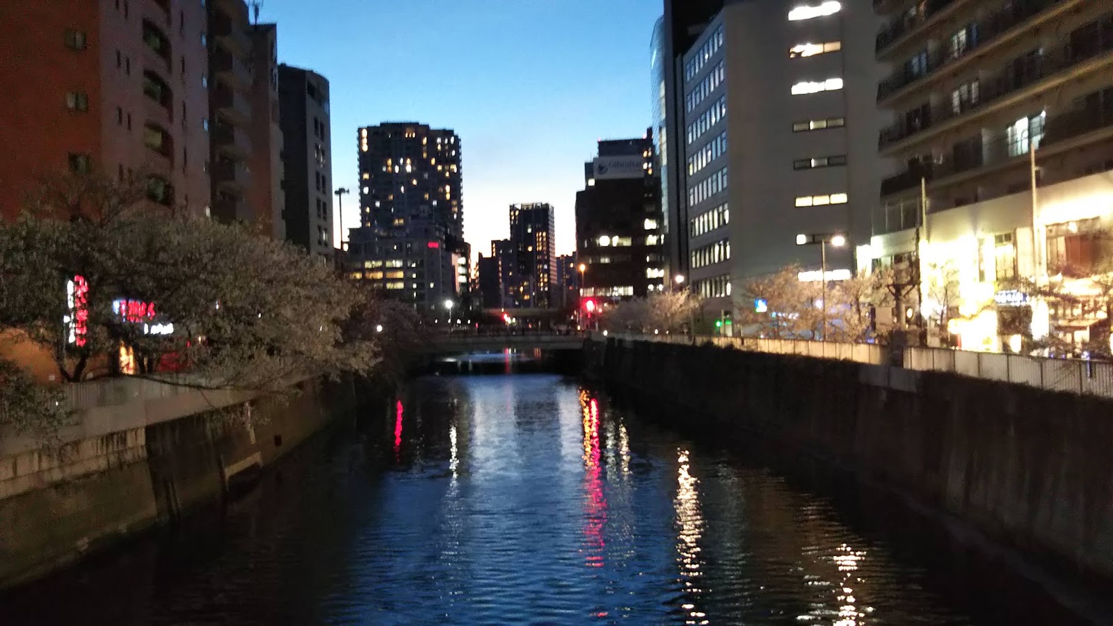 Gotanda Tokyo (2026) – Best of TikTok, Instagram & Reddit Travel Guide