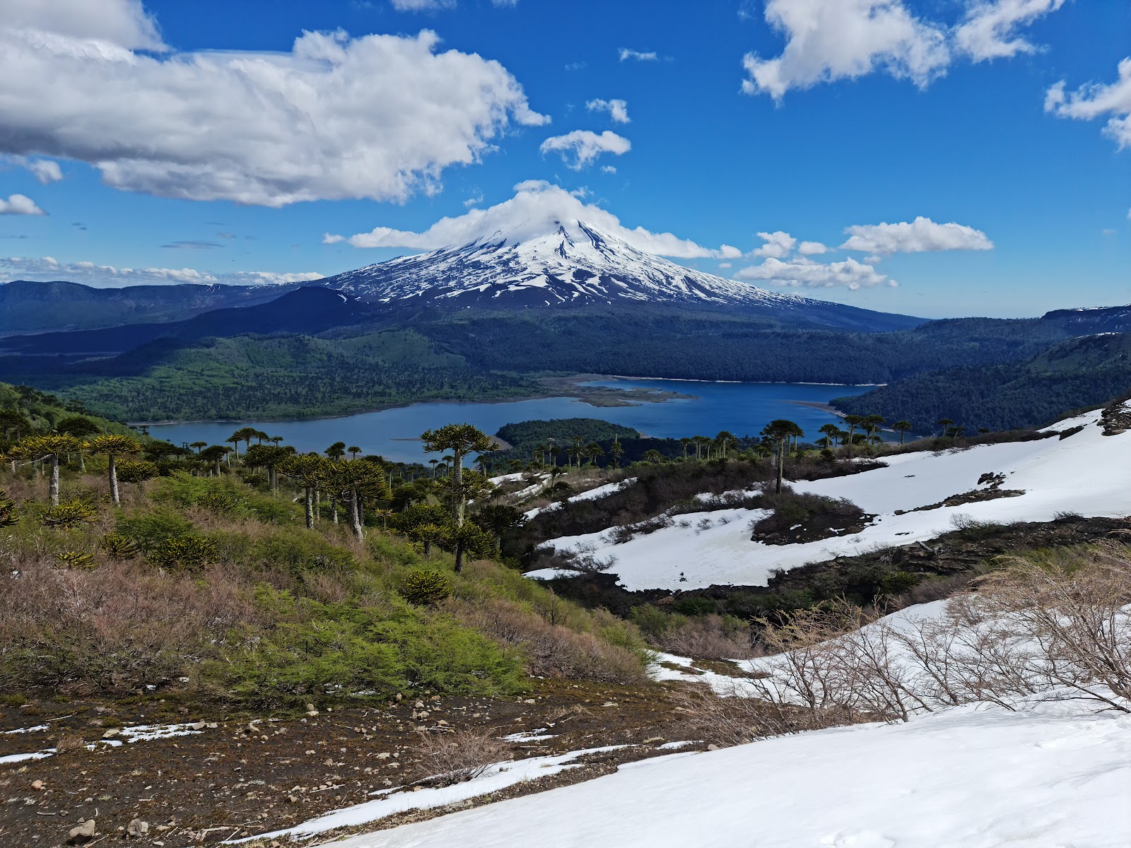 sendero-sierra-nevada-conguill-o-2026-best-of-tiktok-instagram