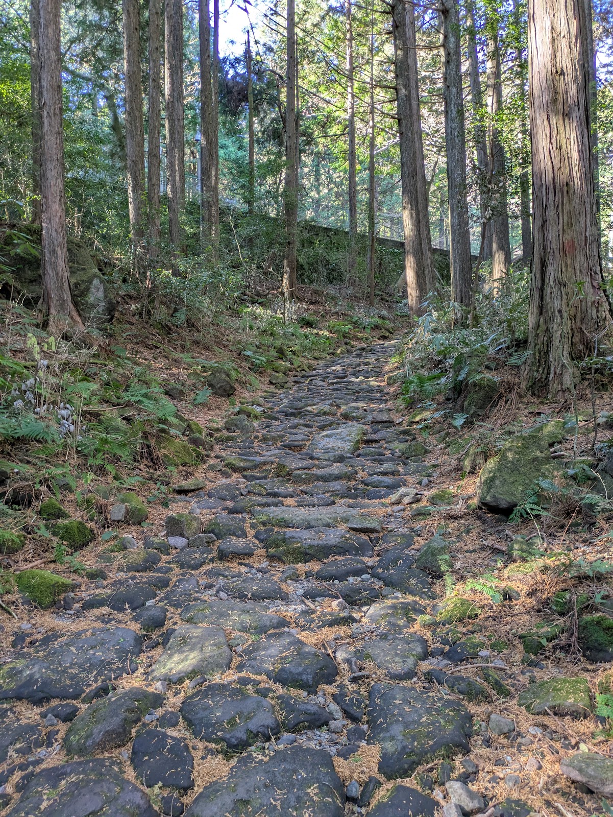 Old Tokaido Stone-Paved Path (2025) – Best of TikTok, Instagram ...