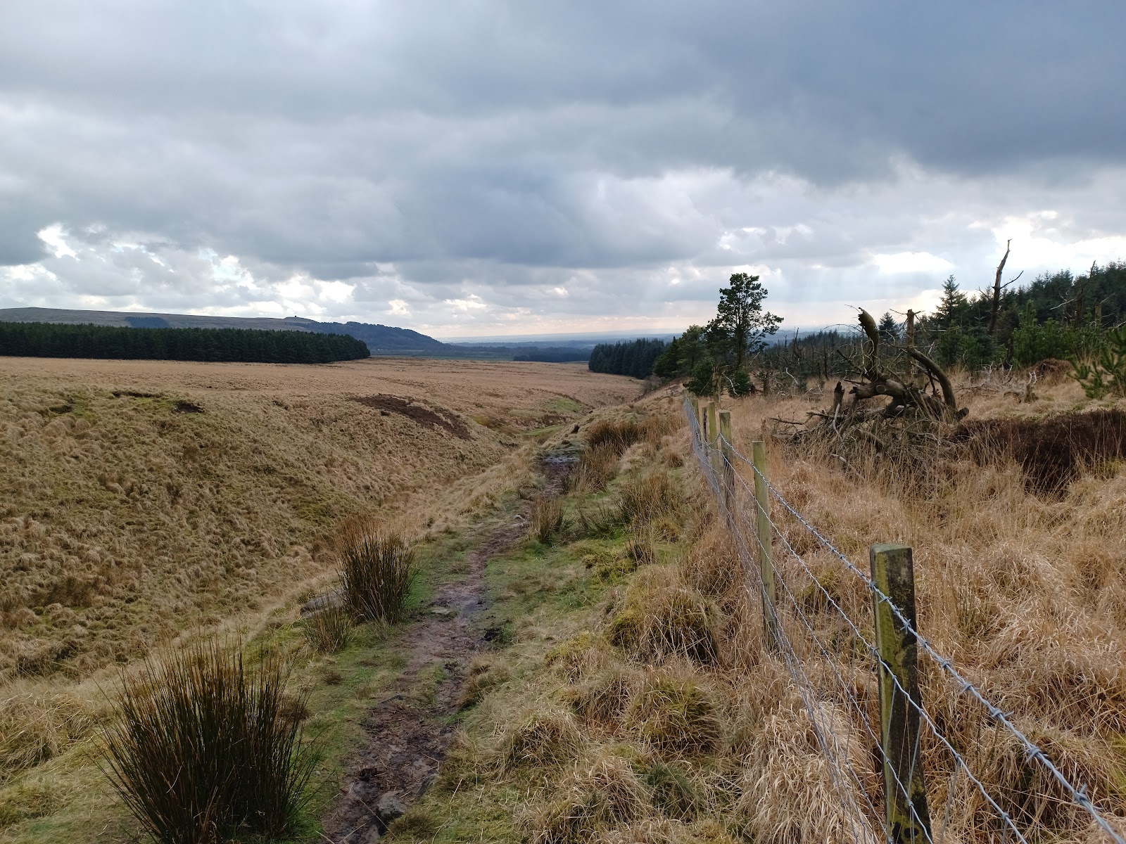 Anglezarke Moor 2026 Best Of TikTok Instagram Reddit Travel Guide anglezarke-moor-2026-best-of-tiktok-instagram-reddit-travel-guide