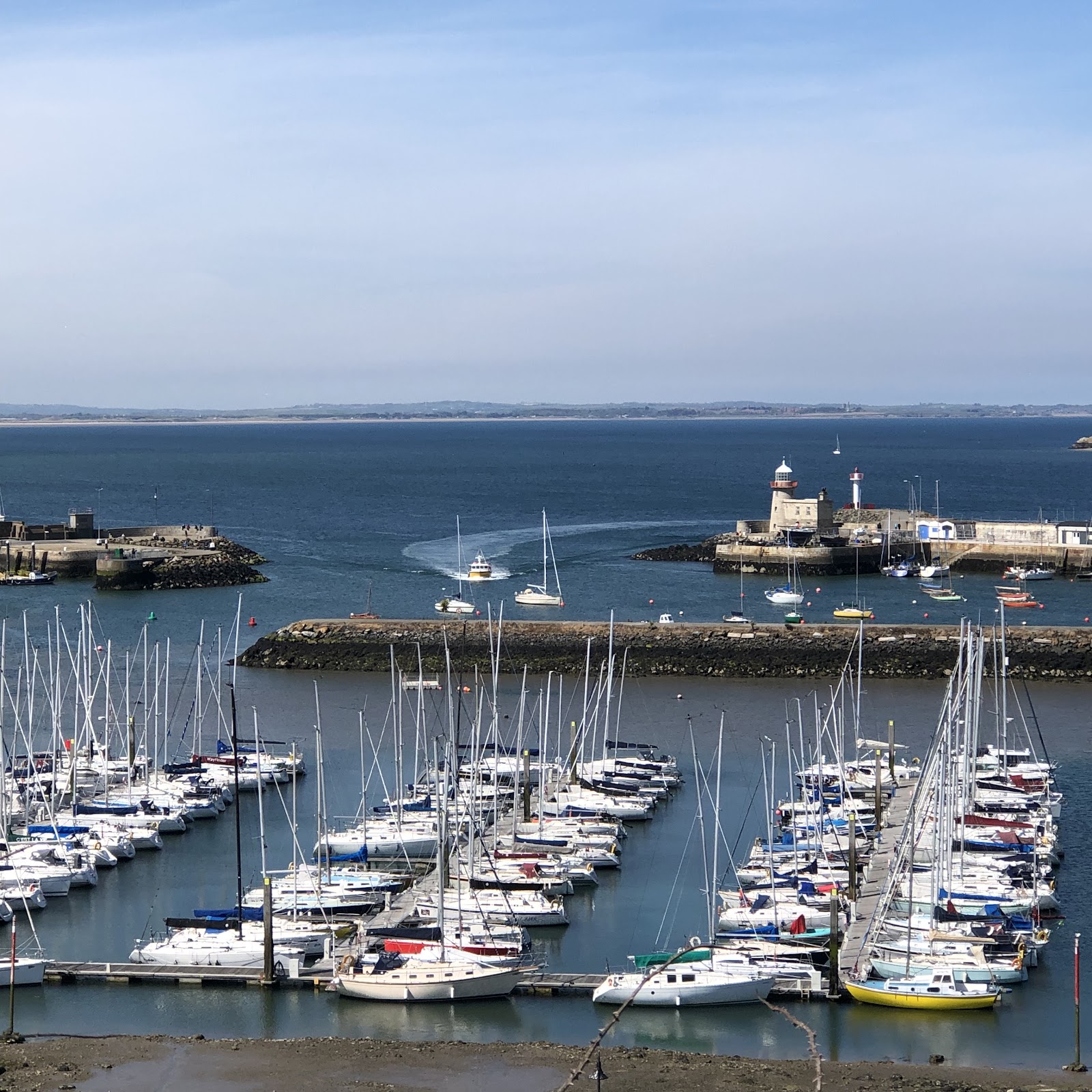 Howth Harbour Dublin (2026) – Best of TikTok, Instagram & Reddit Travel ...