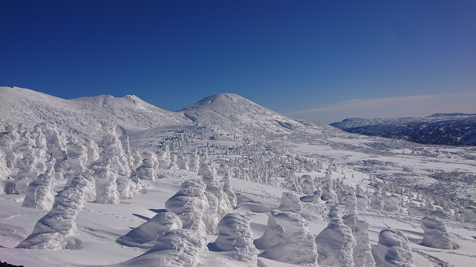 Hakkoda Snow Disaster Memorial (2025) – Best of TikTok, Instagram