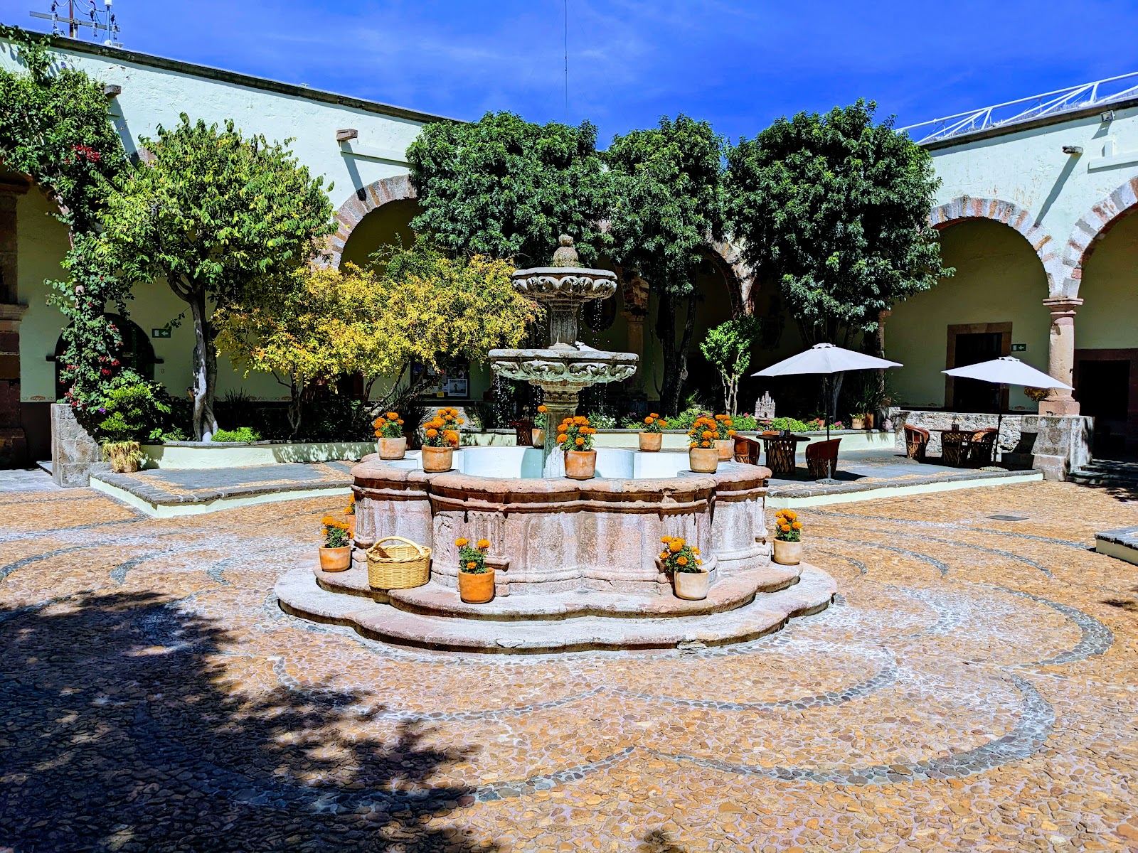 Instituto Allende (@institutoallende) • Instagram photos and videos, image size:1600x1200