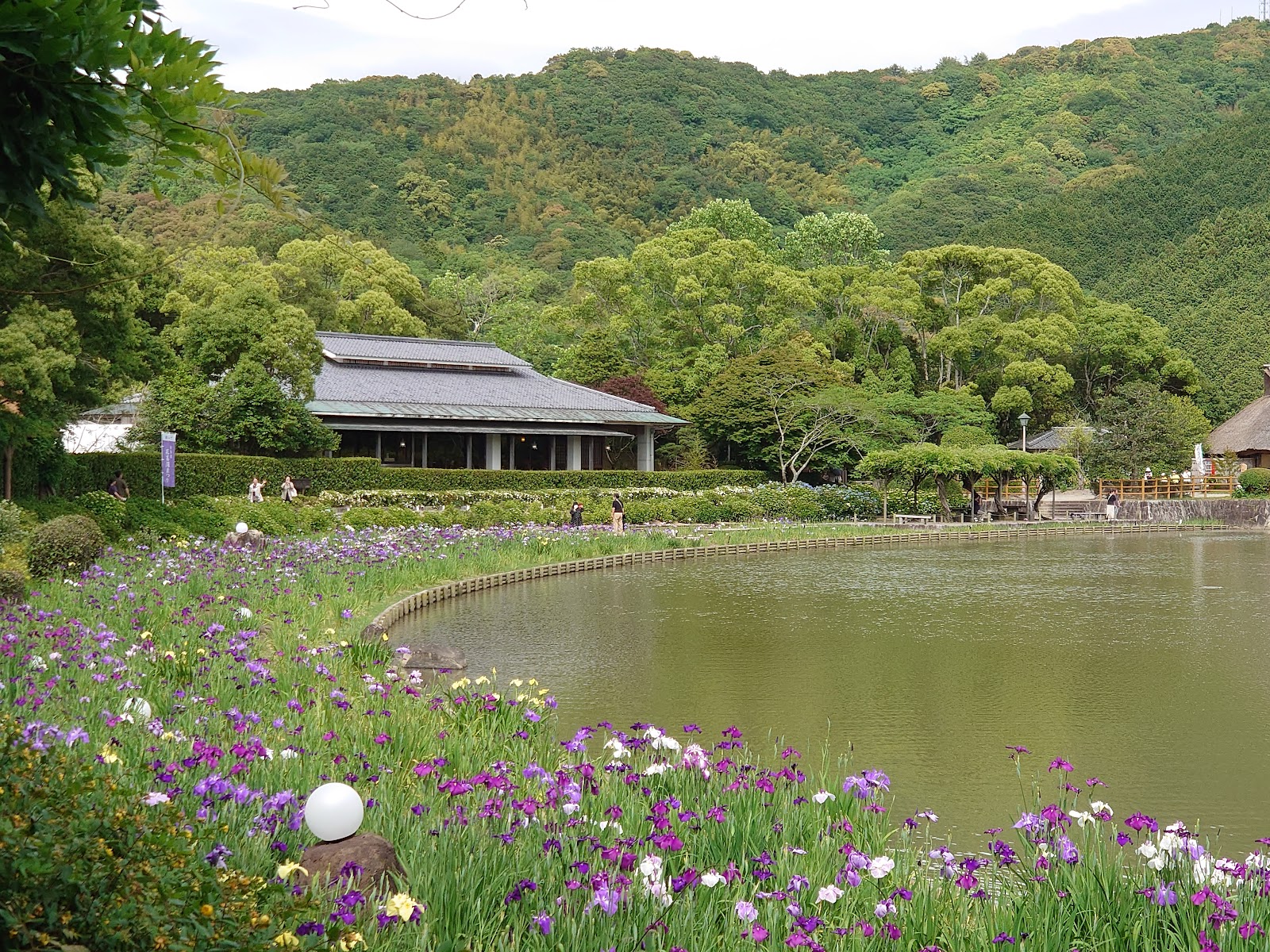 Nanraku-tei Tea House Uwajima (2025) – Best of TikTok, Instagram ...