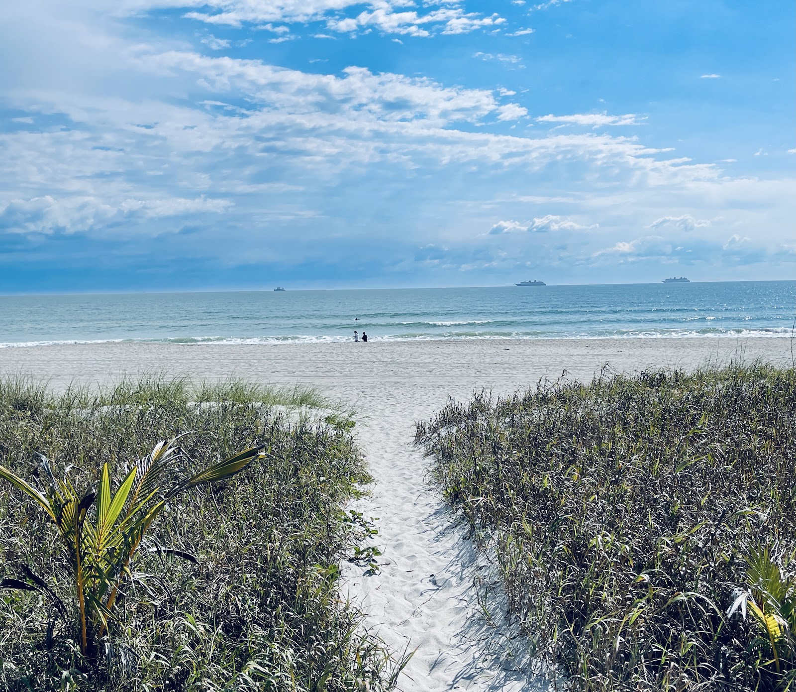 Reddit Beaching Cocoa Beach Public Beach (2026) – Best of TikTok, Instagram & Reddit ...