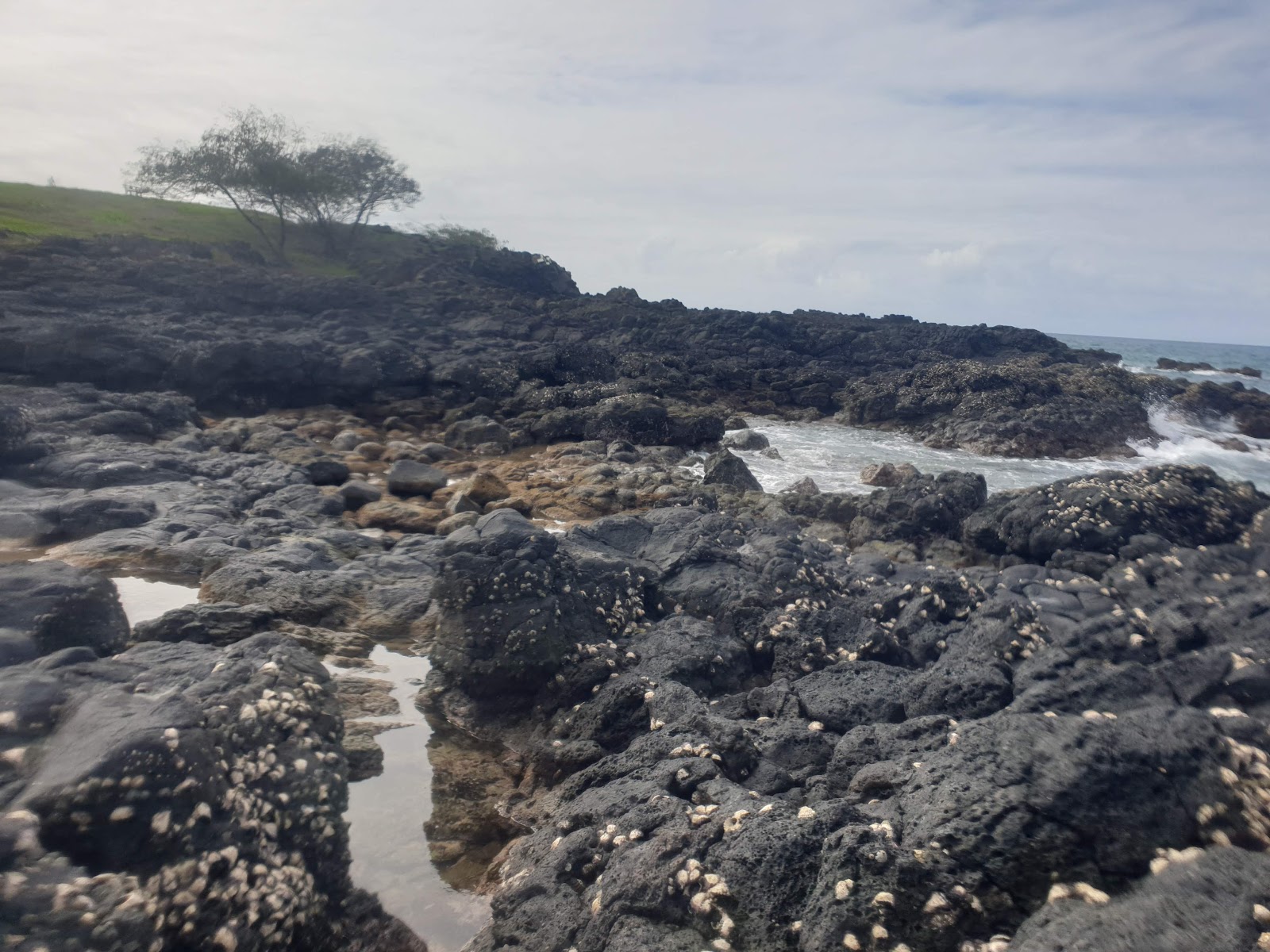 Barolin Rocks (2026) – Best of TikTok, Instagram & Reddit Travel Guide