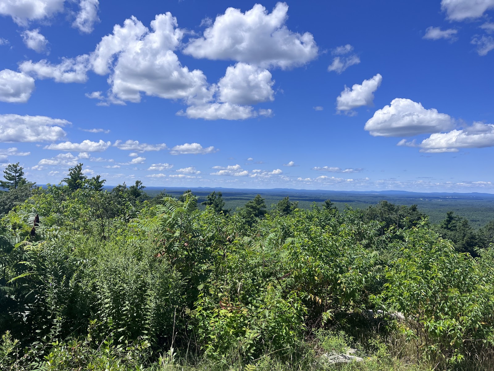 Mount Agamenticus 2026 Best Of TikTok Instagram Reddit Travel Guide Gphoto 0 