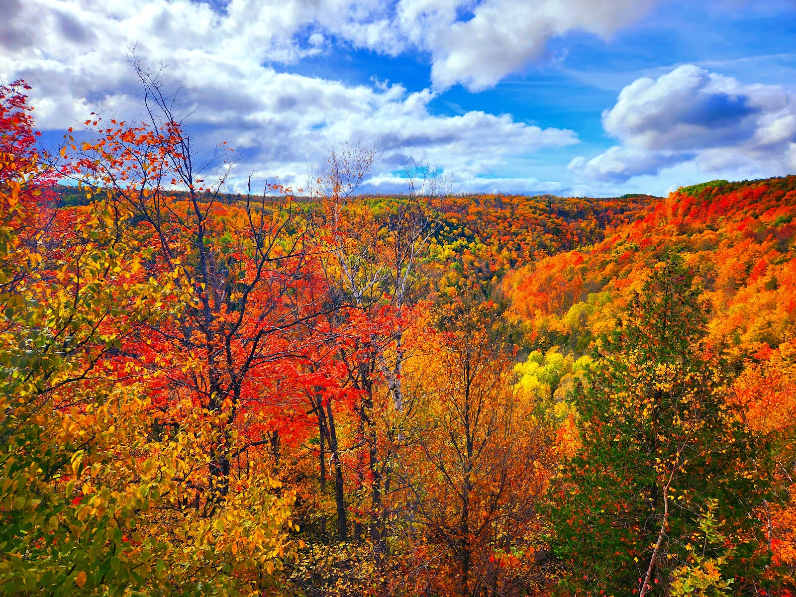 Devil's Glen Provincial Park (2026) – Best of TikTok, Instagram