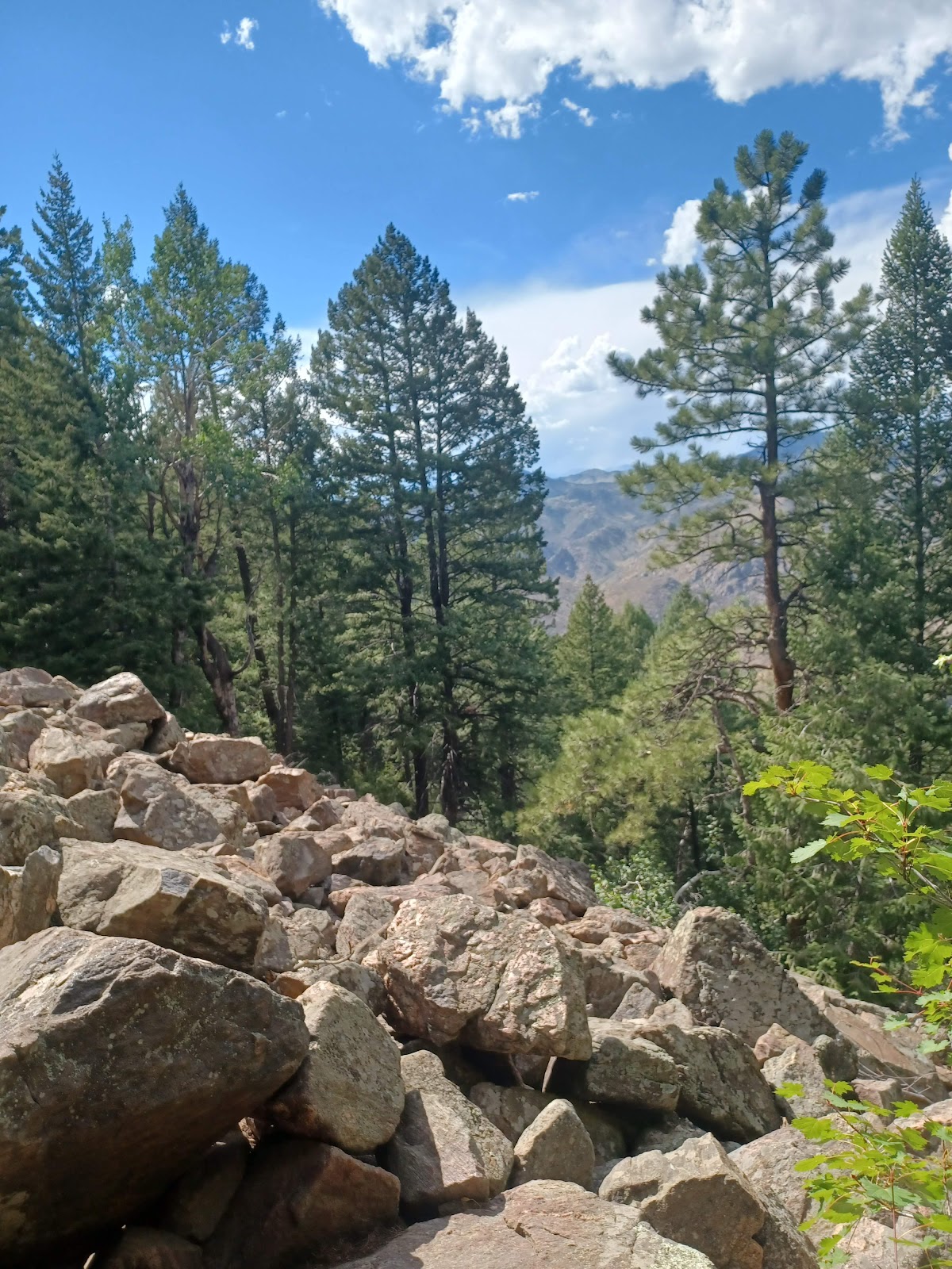 Brooktail Beaver Brook Trail (2026) – Best of TikTok, Instagram & Reddit Travel Guide