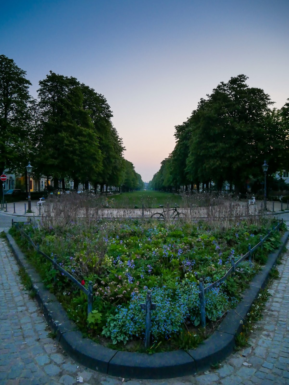 Poppelsdorfer Allee Bonn (2026) – Best of TikTok, Instagram & Reddit ...
