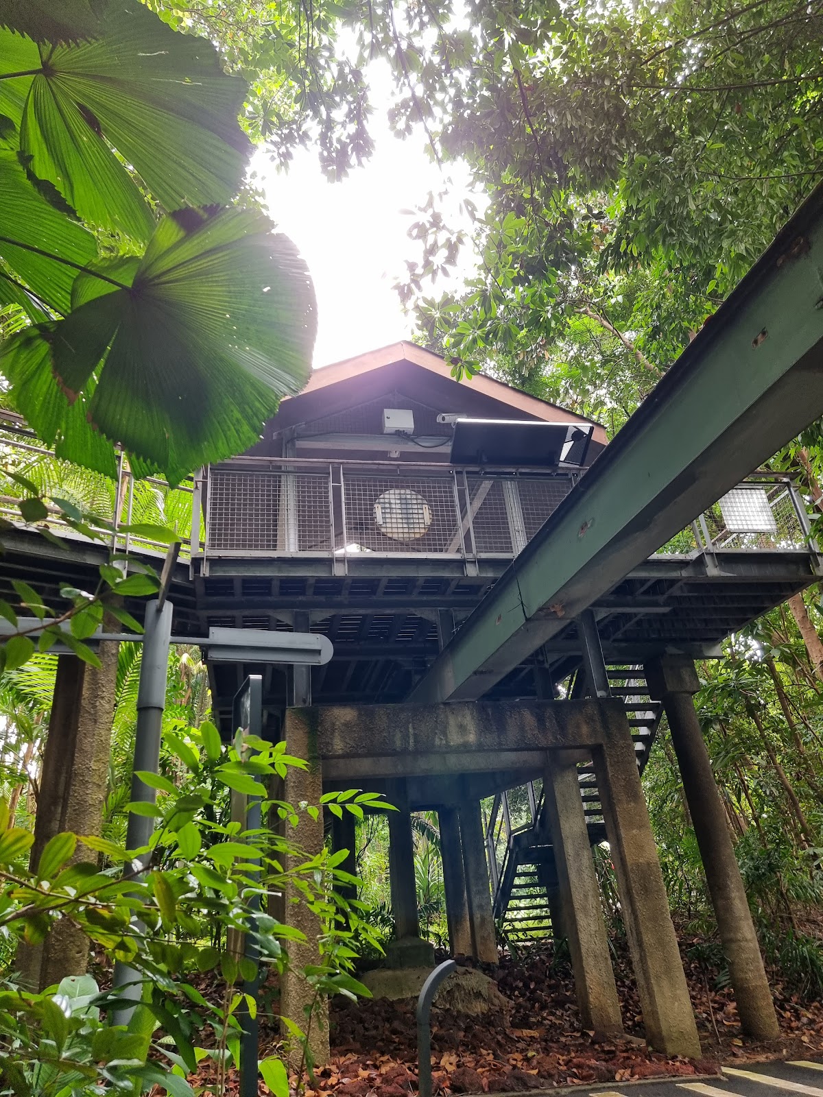 Sentosa Waterfall Imbiah Trail Sentosa (2026) – Best of TikTok, Instagram & Reddit Travel ...