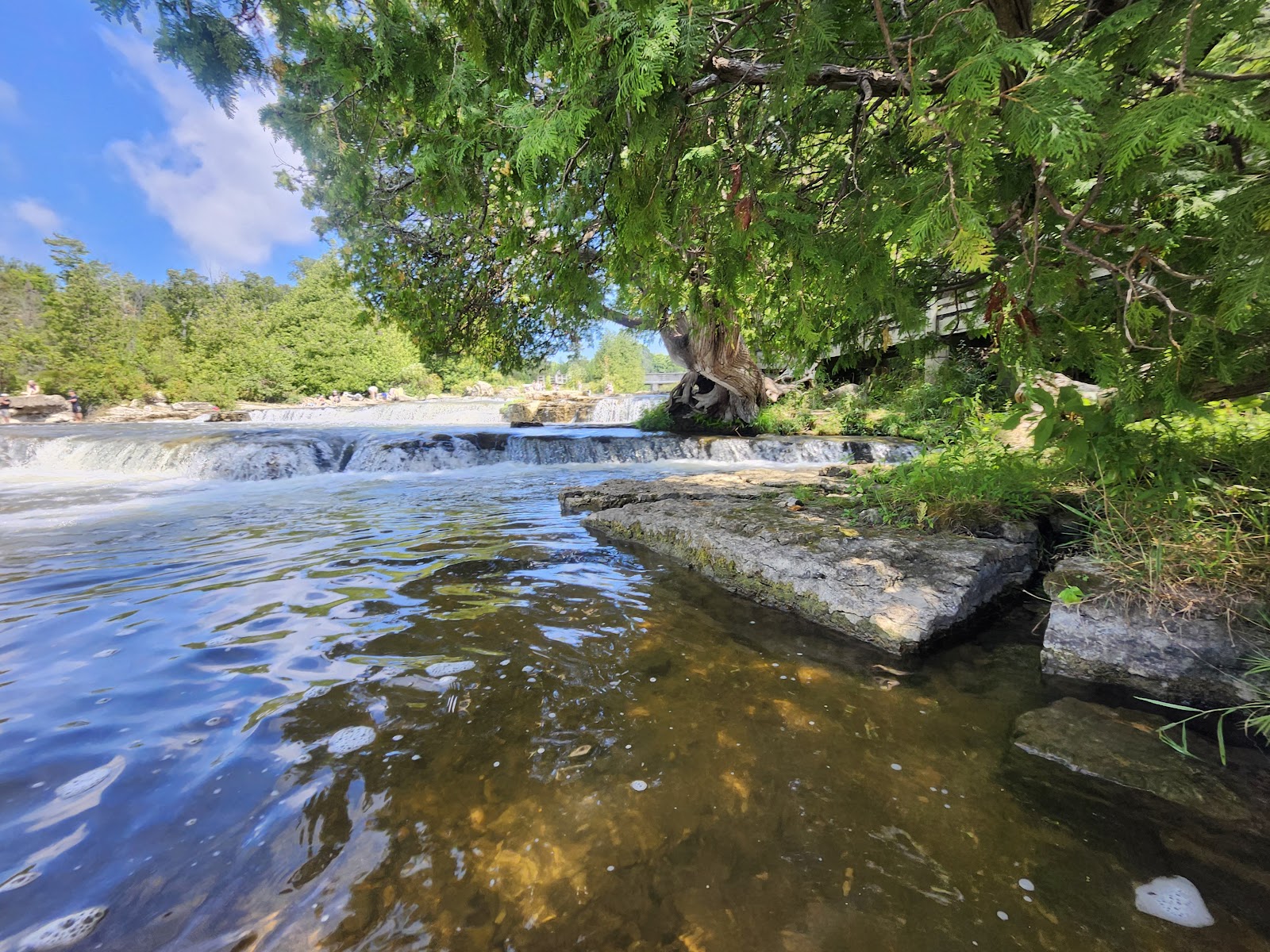 Sauble River Paddling Route (2026) – Best of TikTok, Instagram & Reddit