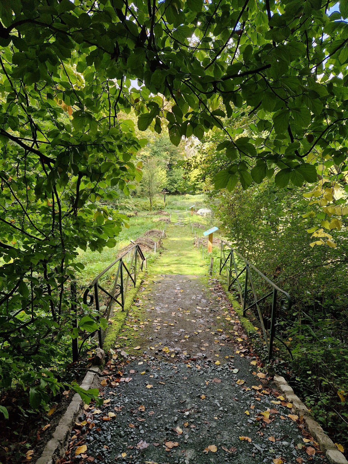 jardin-jean-massart-2026-best-of-tiktok-instagram-reddit-travel