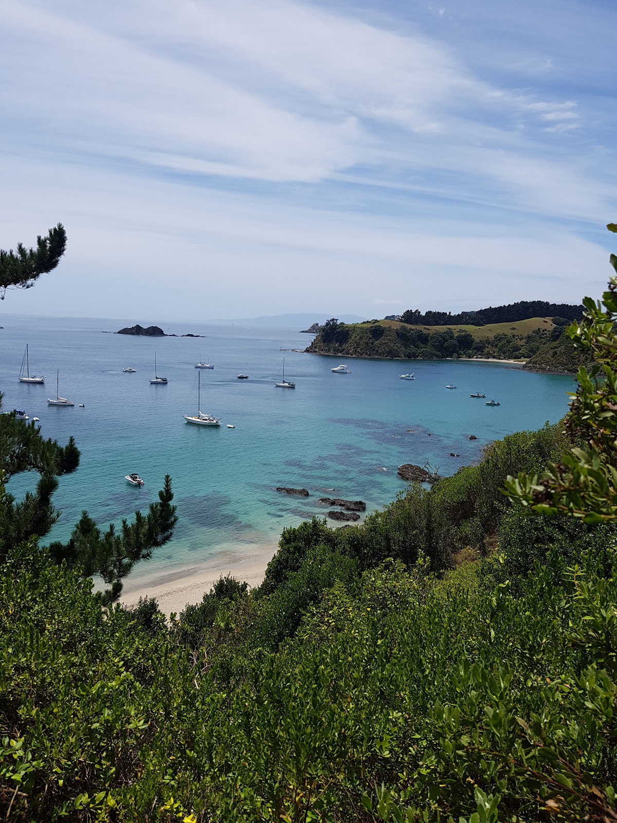 Palm Beach (2025) – Best of TikTok, Instagram & Reddit Travel Guide