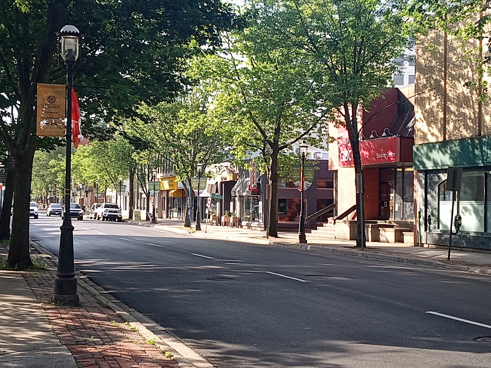 Queen Street (2026) – Best of TikTok, Instagram & Reddit Travel Guide