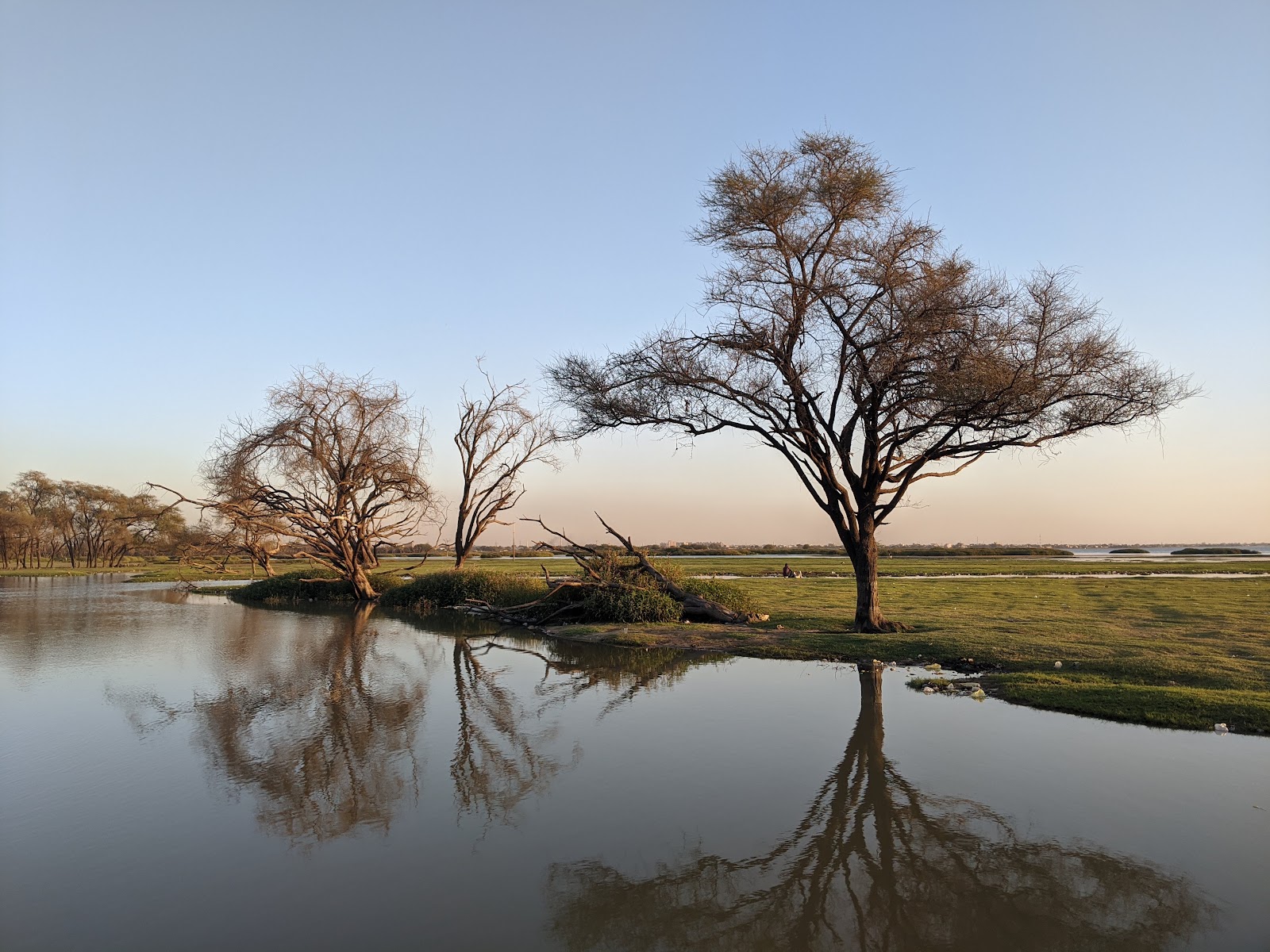 Al Sunut Forest (2025) – Best of TikTok, Instagram & Reddit Travel Guide