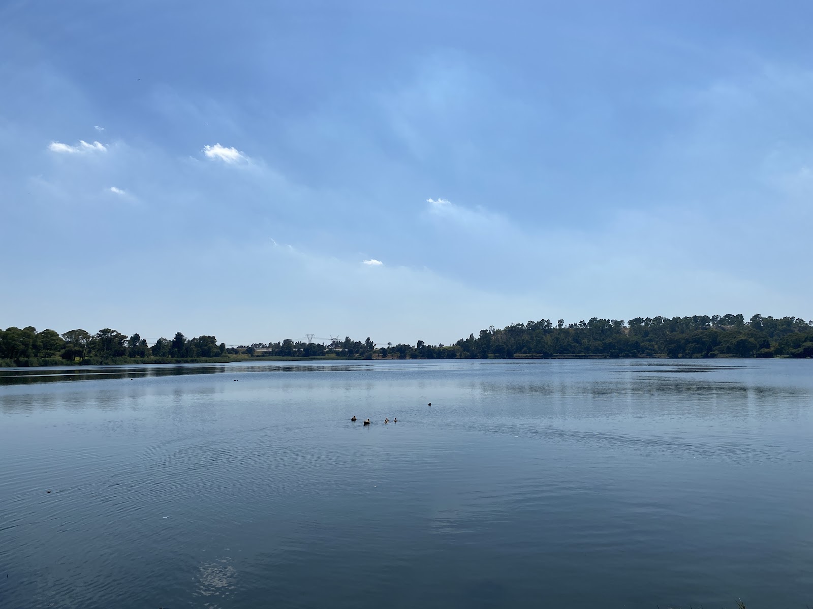 Drug and Alcohol Rehab in Wemmer