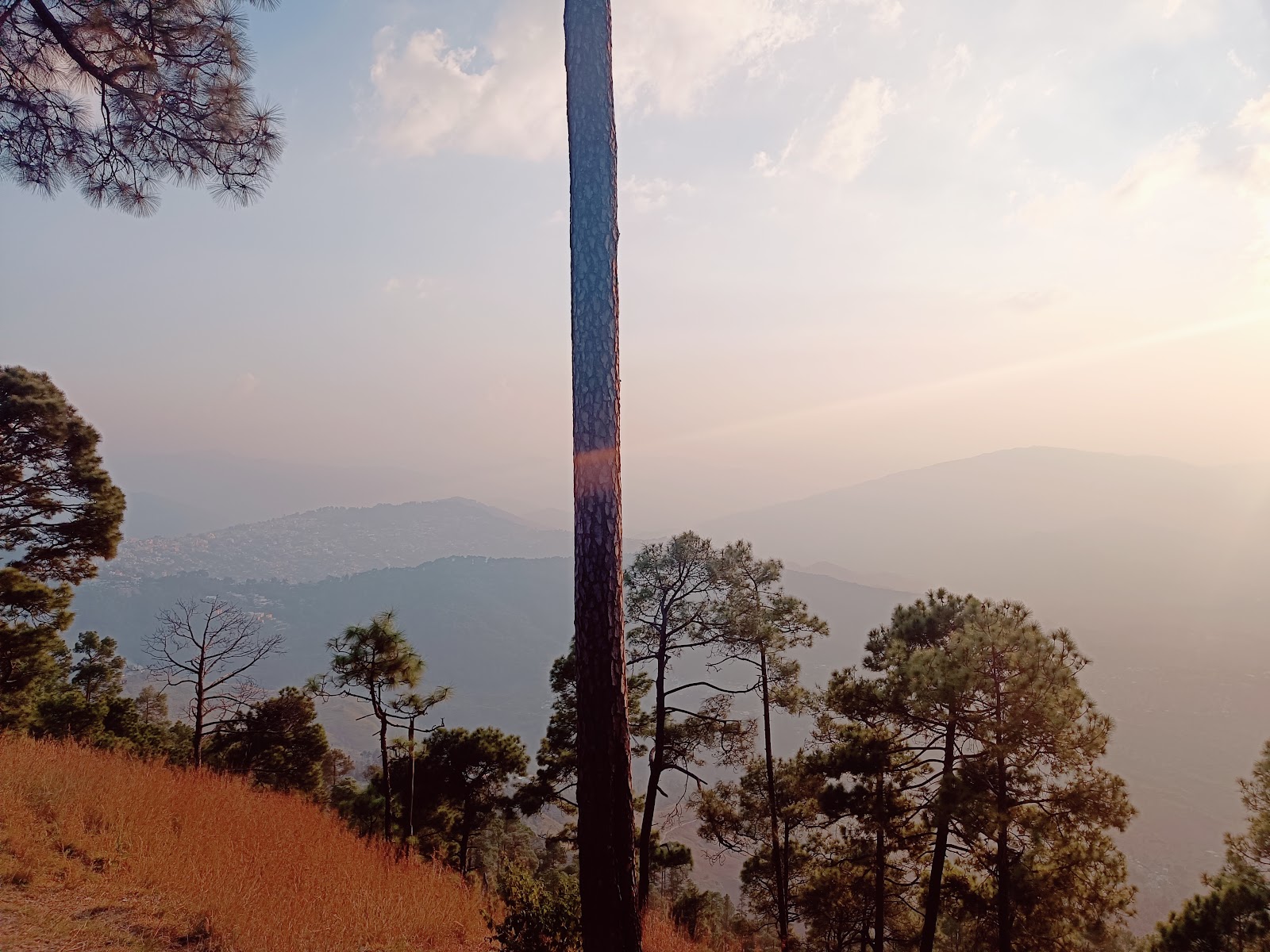 Crank's Ridge Almora (2026) – Best of TikTok, Instagram & Reddit Travel ...