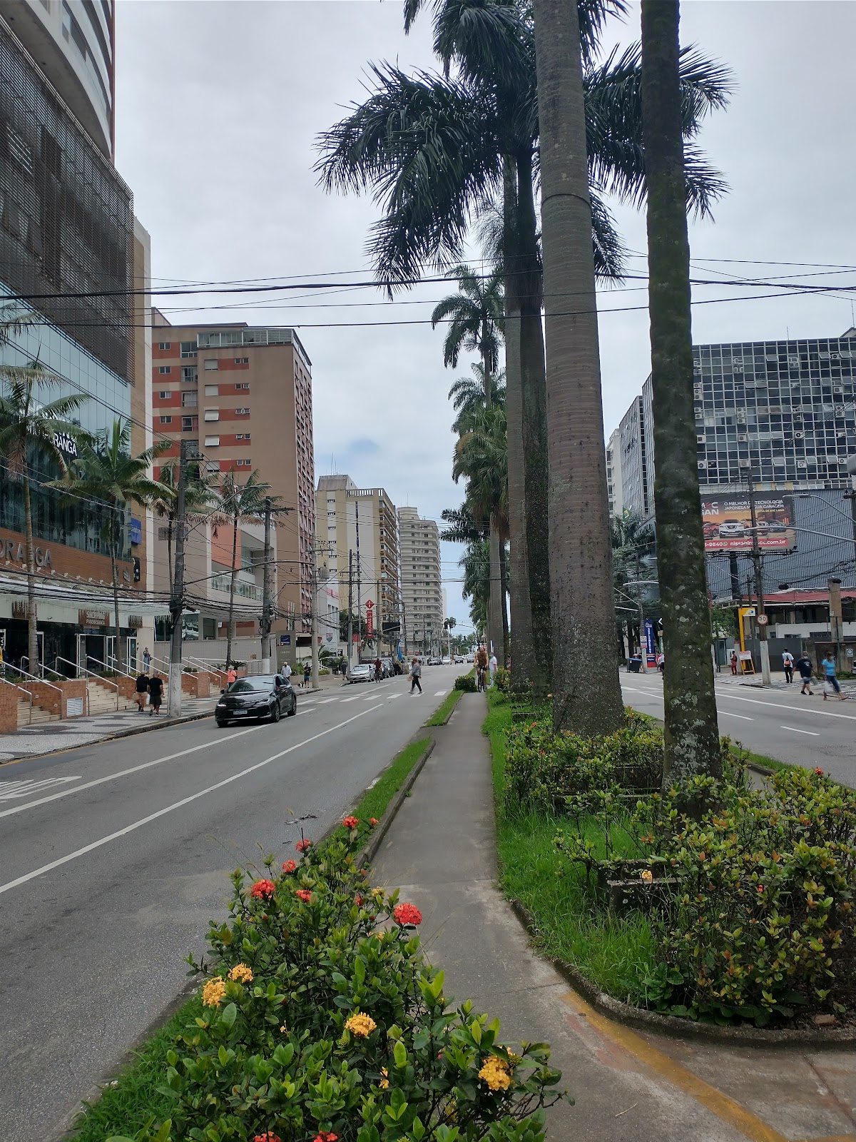 Avenida Ana Costa (2026) – Best of TikTok, Instagram &amp; Reddit Travel Guide