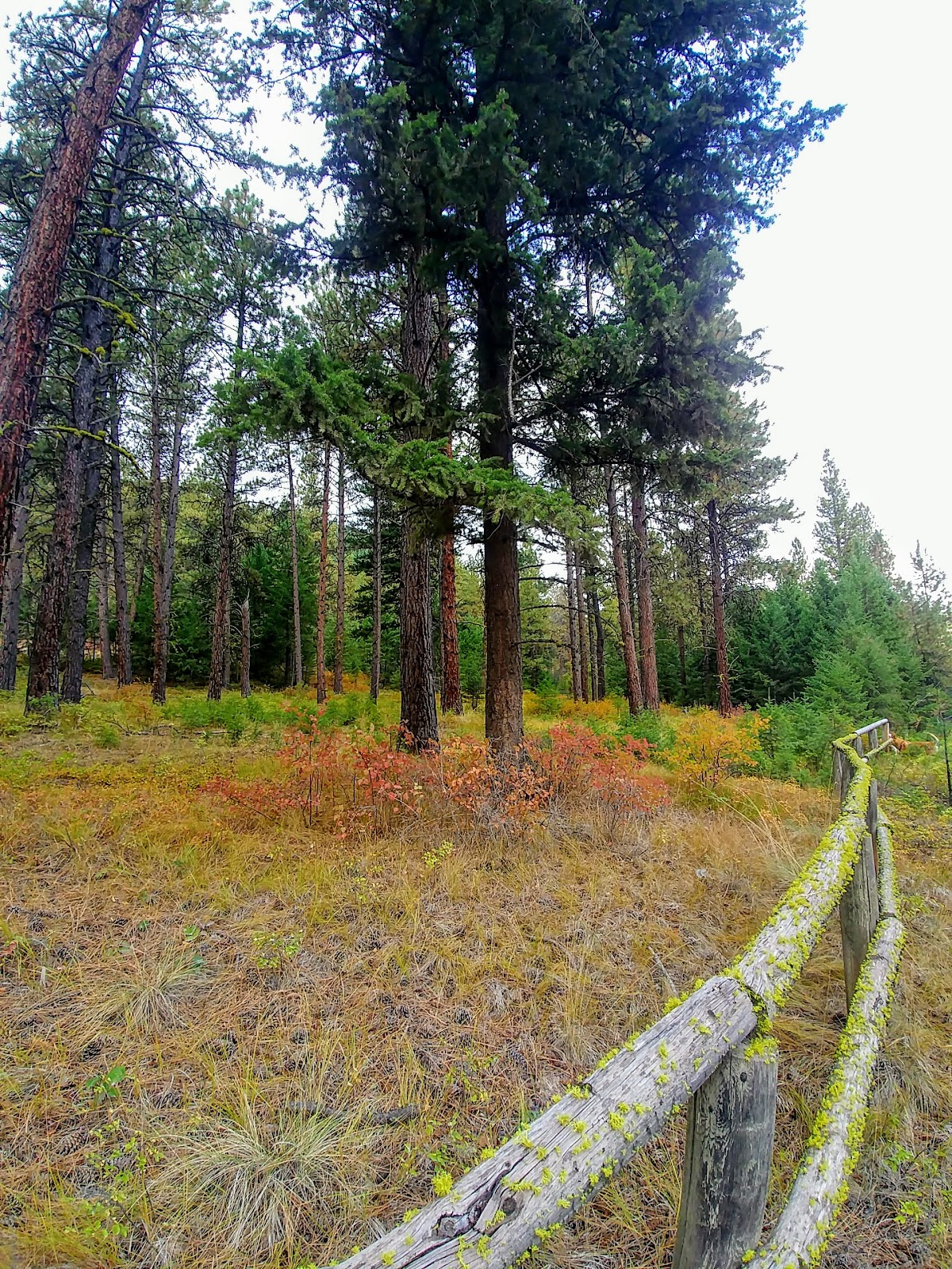 Blue Mountain Recreation Area (2026) – Best of TikTok, Instagram ...