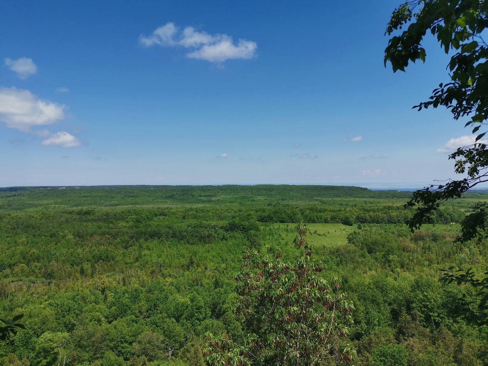 Bayview Escarpment Nature Reserve (2026) – Best of TikTok, Instagram
