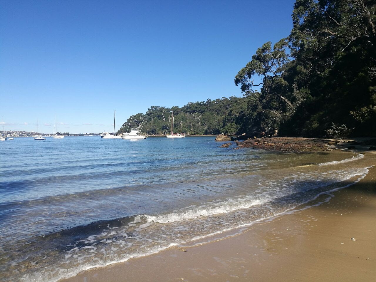 Chowder Bay Chowder Bay (2026) – Best of TikTok, Instagram & Reddit Travel Guide