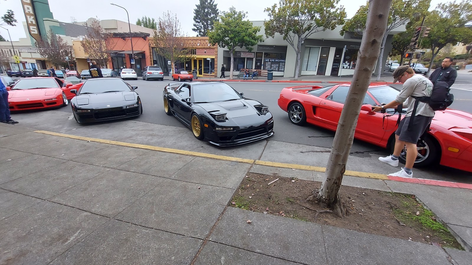 Solano Avenue Berkeley (2026) – Best of TikTok, Instagram & Reddit Travel  Guide