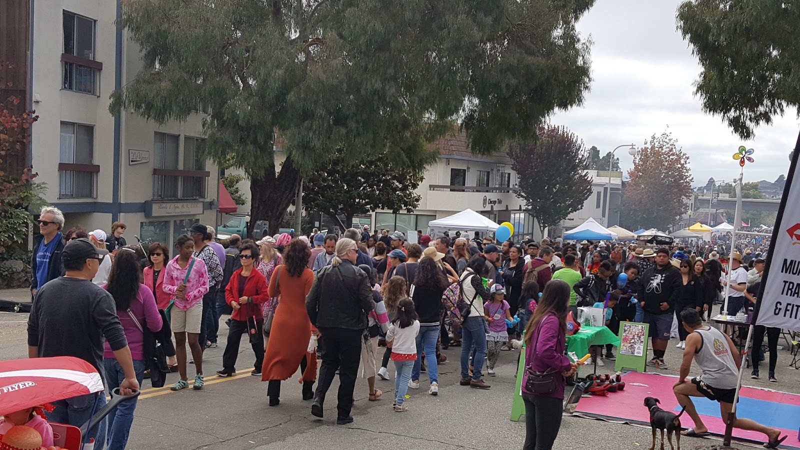 Solano Avenue Berkeley (2026) – Best of TikTok, Instagram & Reddit Travel  Guide