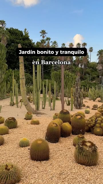 Jardins de Mossn Costa i Llobera Barcelona (2026)  Best of TikTok,  Instagram & Reddit Travel Guide