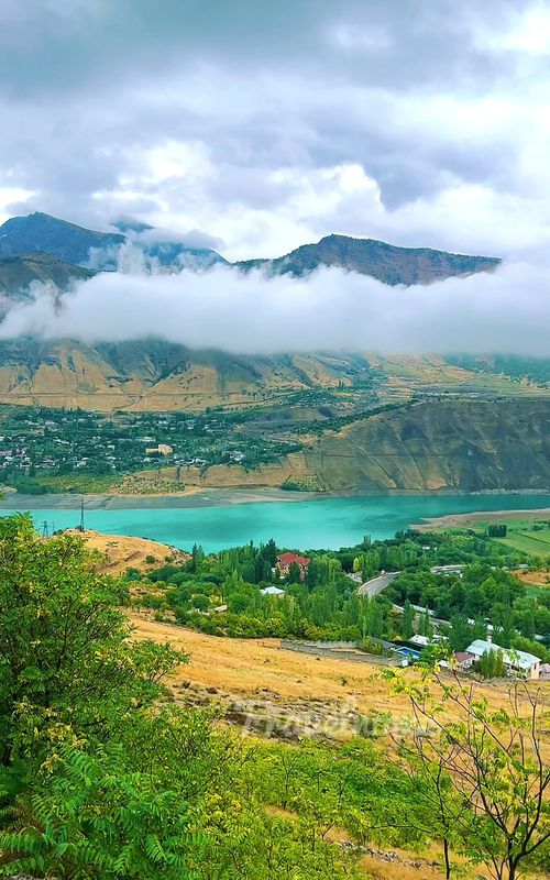 Psixolog porno tomosha