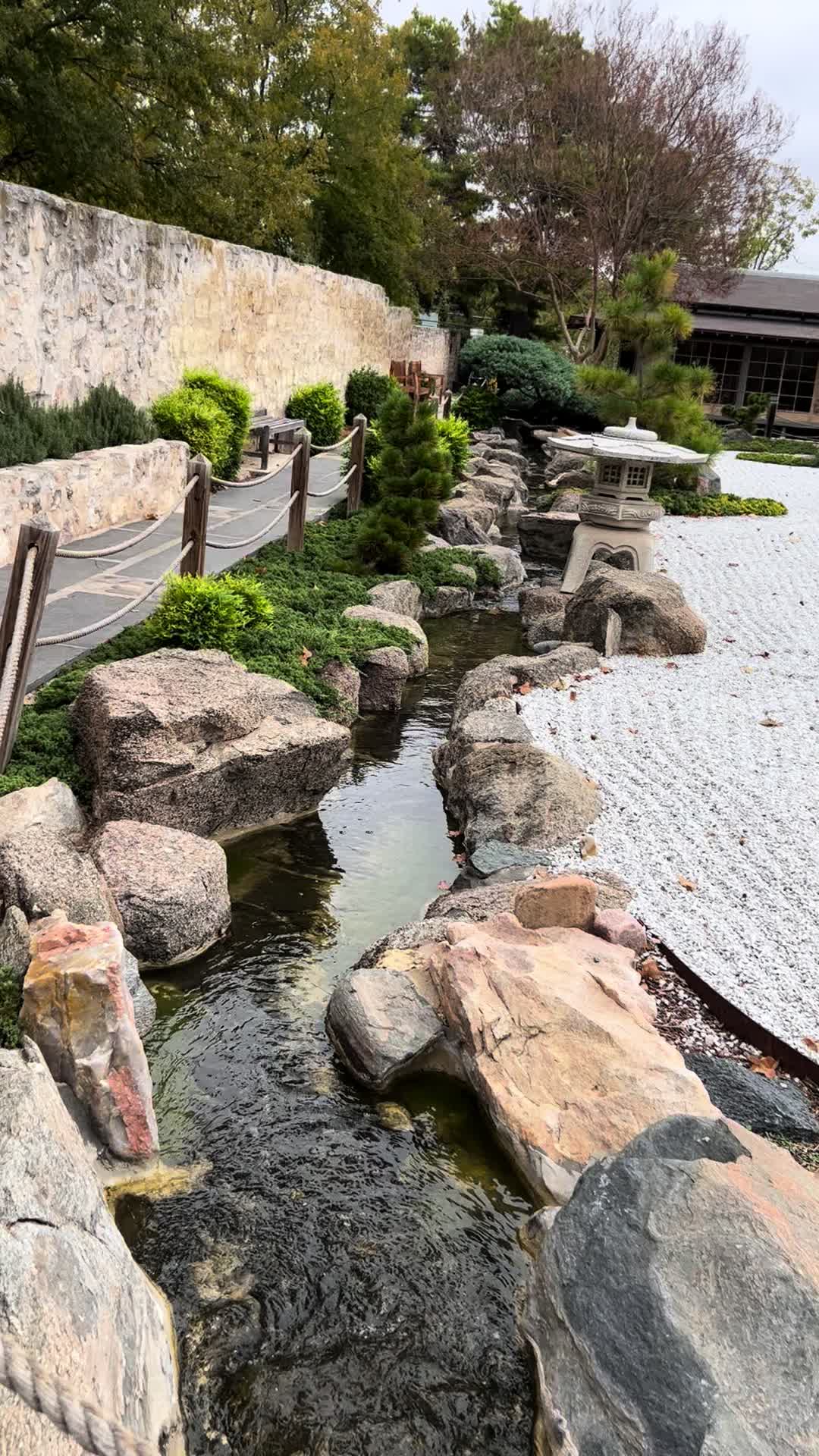 Japanese Garden of Peace (2025) – Best of TikTok, Instagram