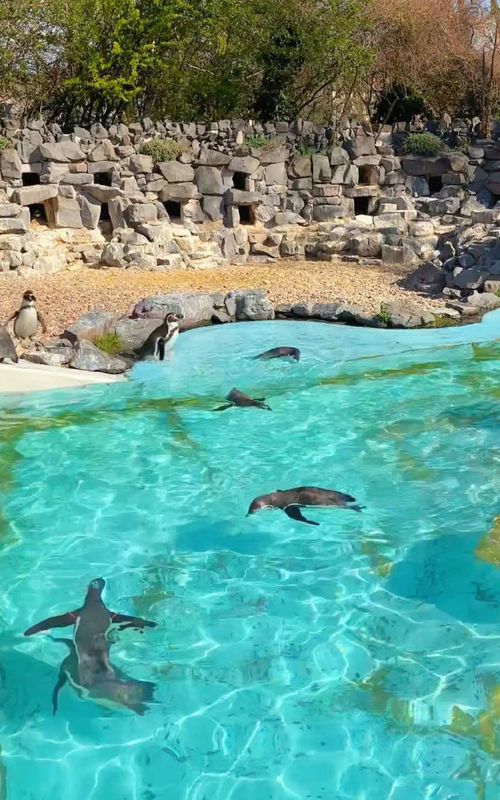 Junge Union Coburg-Stadt | Coburg, image size:500x800