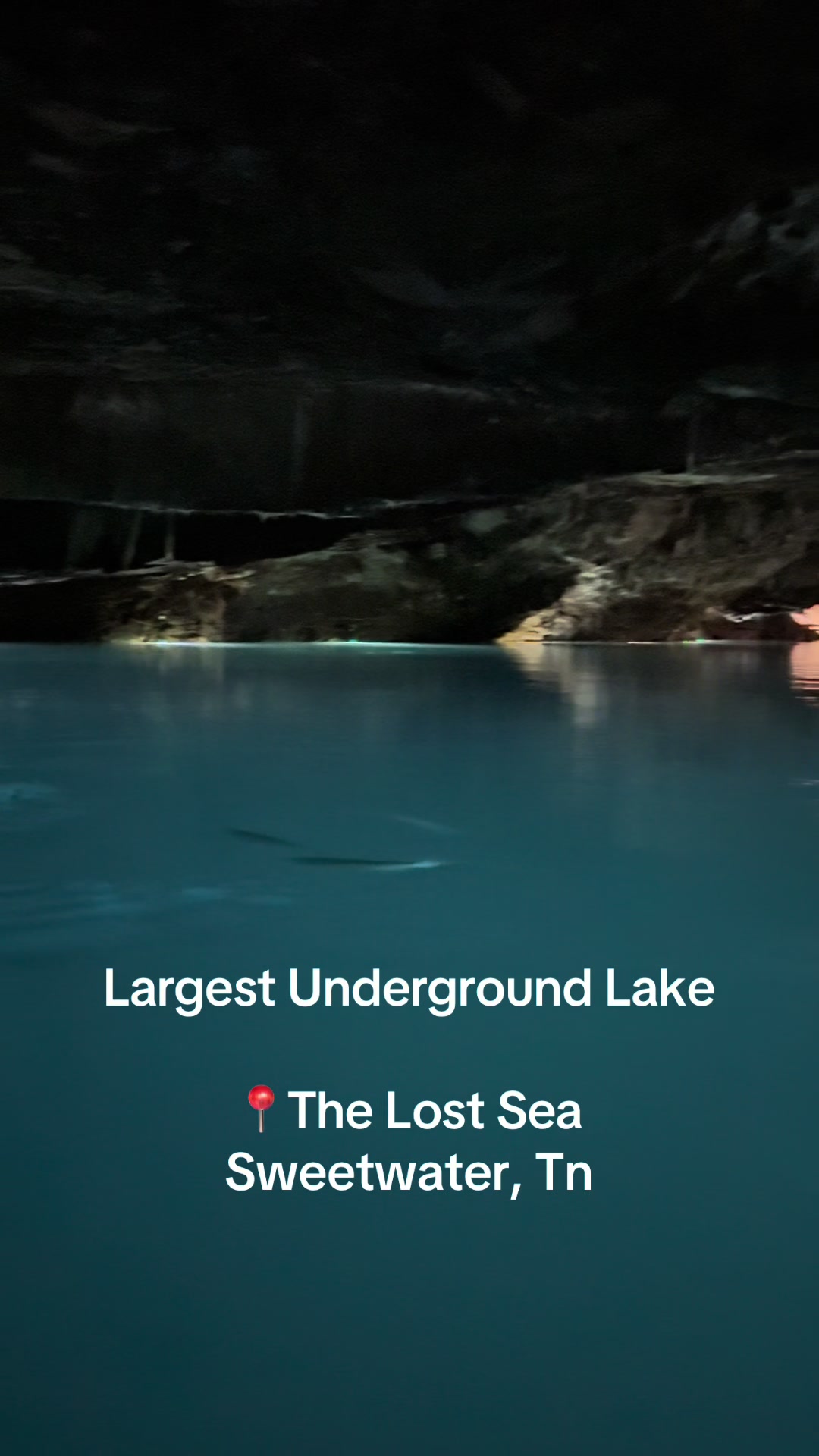 tiktok_thumbnail_7543409758934